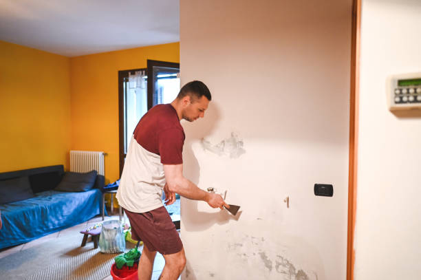 Best Certified Mold Removal  in Templeton, CA